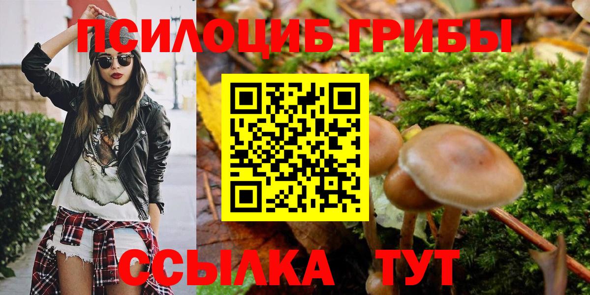 Галлюциногенные грибы мицелий  Псилоцибиновые грибы MAGIC MUSHROOMS  Вход с VPN  Гай 